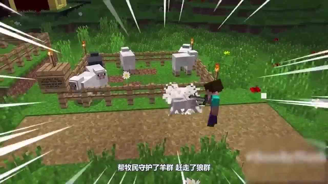 我的世界：村庄开展了一次宠物竞技赛，小僵尸怎么会变成钻石僵尸？