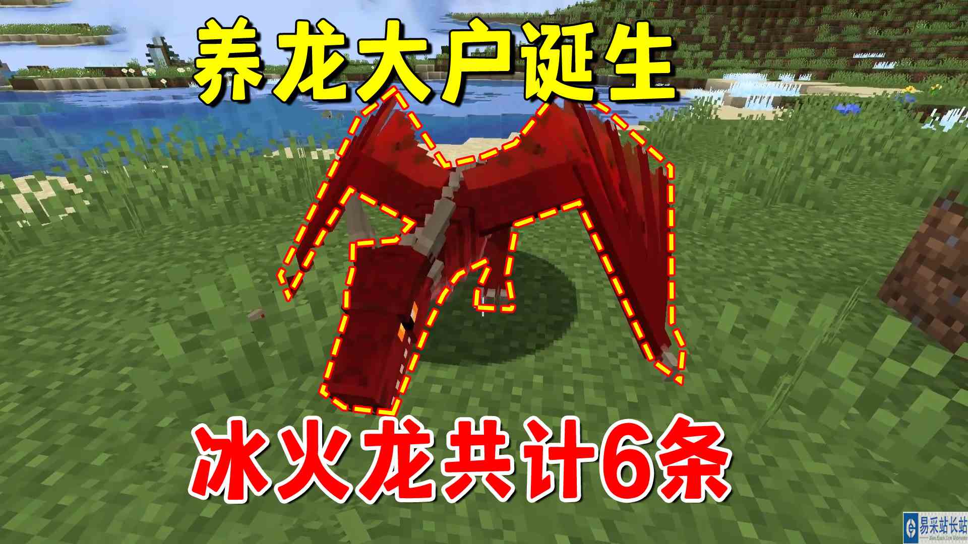 我的世界冰火传说70：养龙大户诞生，冰火电三龙齐聚，共计6条龙#我的世界#沙盒游戏