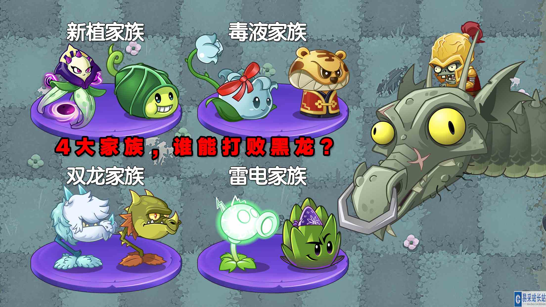 植物大战僵尸：4大家族，谁无法打败黑龙？#游戏剧场吃瓜看戏