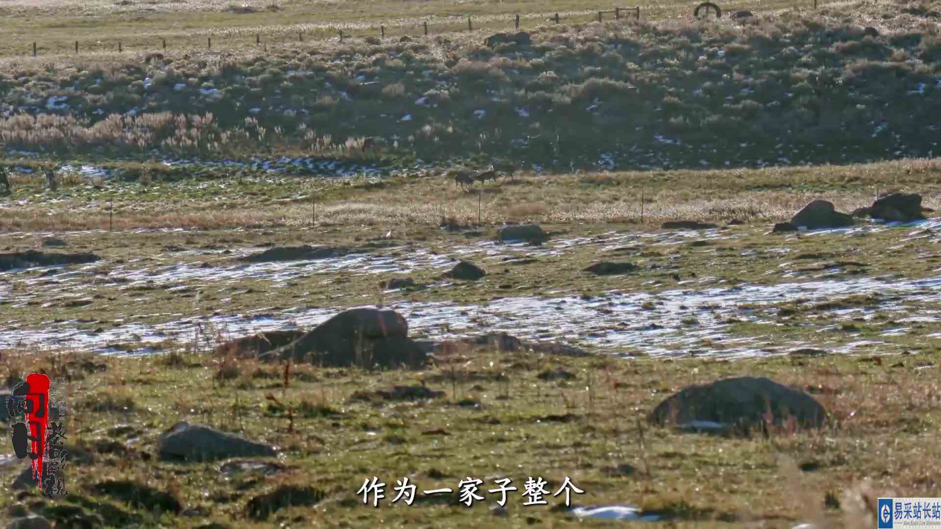 山地硬汉S1115,做个职业猎人有多爽,没有肉吃直接进山打猎就行