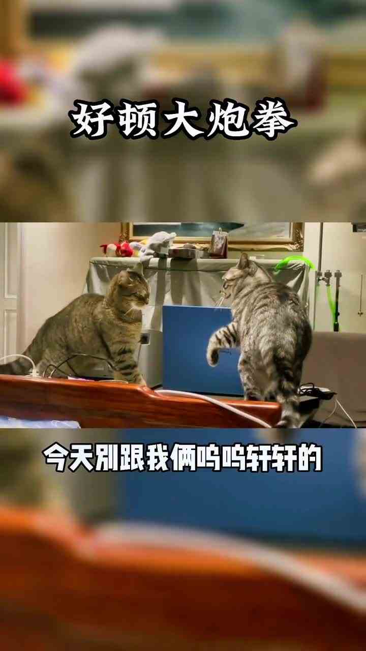 这反转有点尴尬！