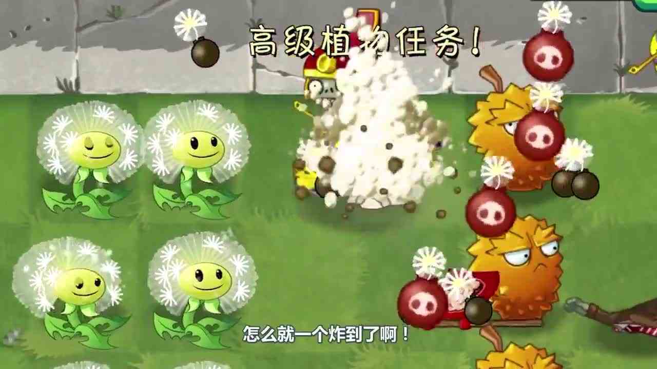 植物大战僵尸：蒲公英配合三叶草！直接一秒结束战斗？