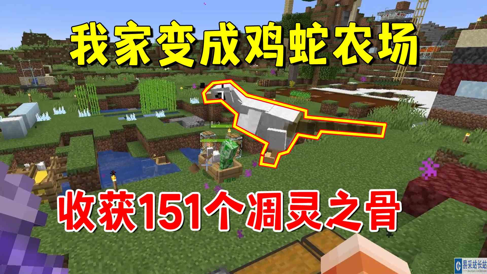 我的世界冰火传说73：我家变成鸡舍农场，轻松收获151个凋灵之骨#我的世界#沙盒游戏