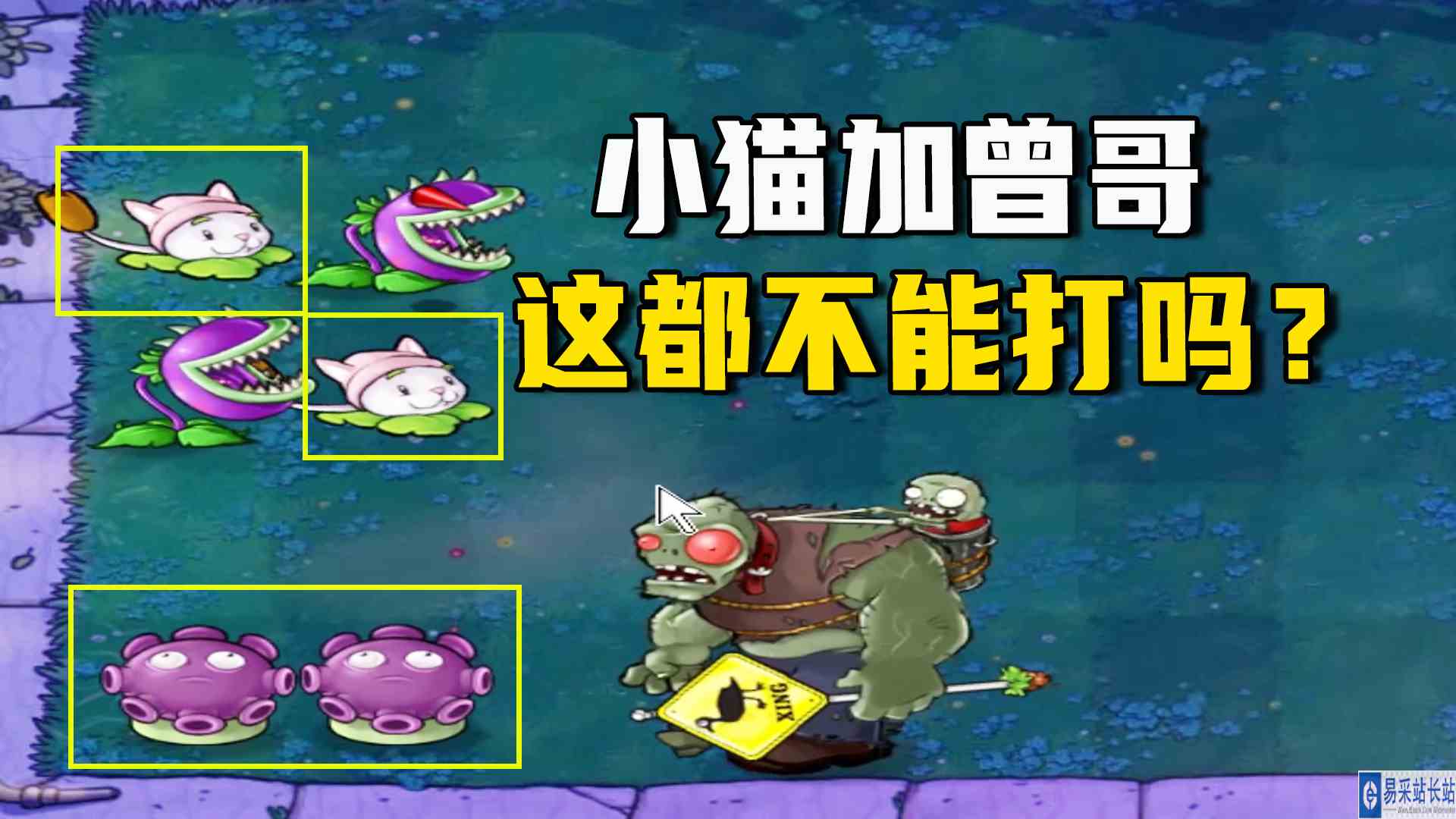 植物大战僵尸：五虎大将（上），小猫加曾哥都不行？这游戏变味了#植物大战僵尸#单机游戏
