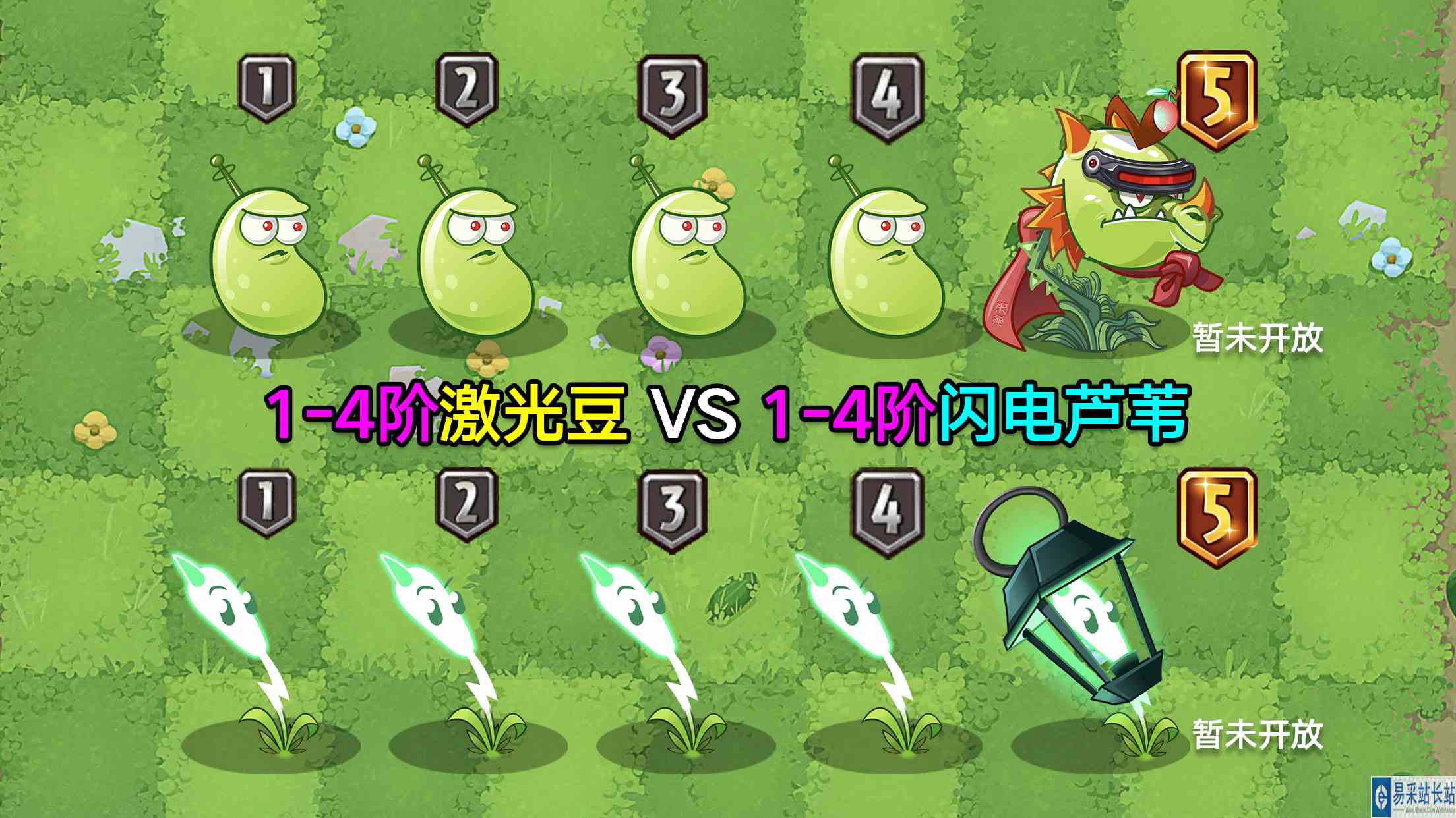 1\-5阶激光豆VS1\-5阶芦苇！刮痧对决？谁刮得更卖力？#游戏剧场吃瓜看戏