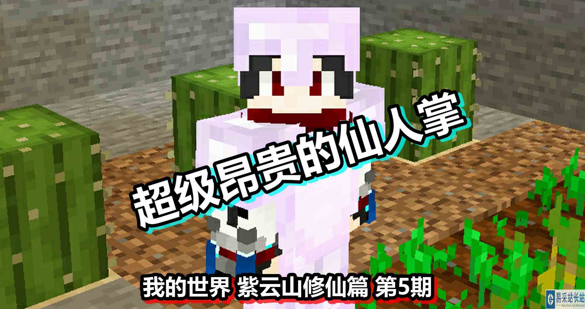 我的世界 紫云山修仙篇 第5期 超级昂贵的仙人掌