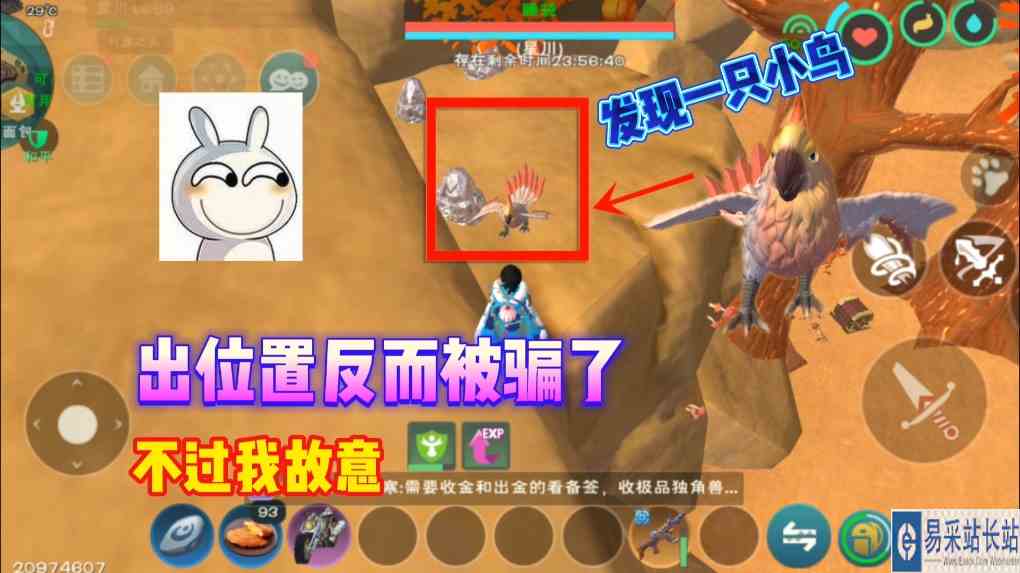 #创造与魔法 星川解说：创造与魔法出云斑鹦鸟位置反而被骗不过呢我故意的