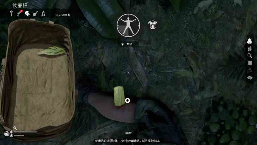【绿色地狱】6，做个床睡觉，没想到睡死了
