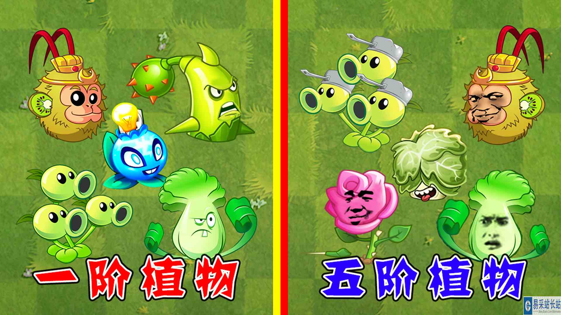 植物大战僵尸：1\-5阶植物相互对比，谁能同时消灭周刊僵尸？