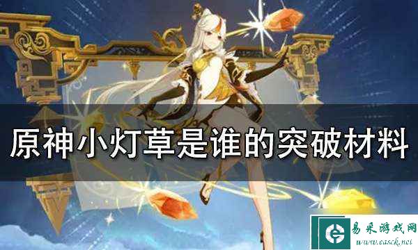 原神小灯草多久刷新一次 原神小灯草有什么用