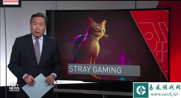 猫猫游戏《迷失》将与慈善机构合作 帮助现实中流浪猫