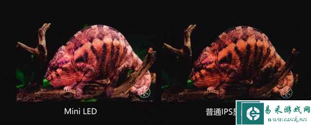 易采游戏网