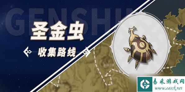 原神圣金虫位置大全