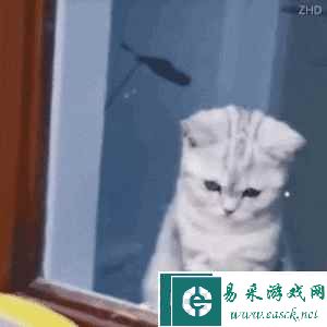 易采游戏网