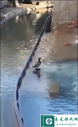 易采游戏网