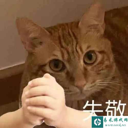 易采游戏网