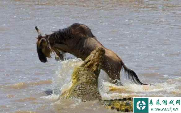 /news/2023/04-12/73150.shtml