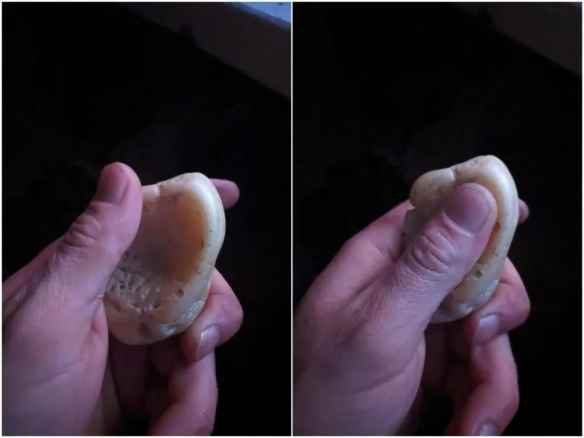 /news/2023/04-12/73372.shtml