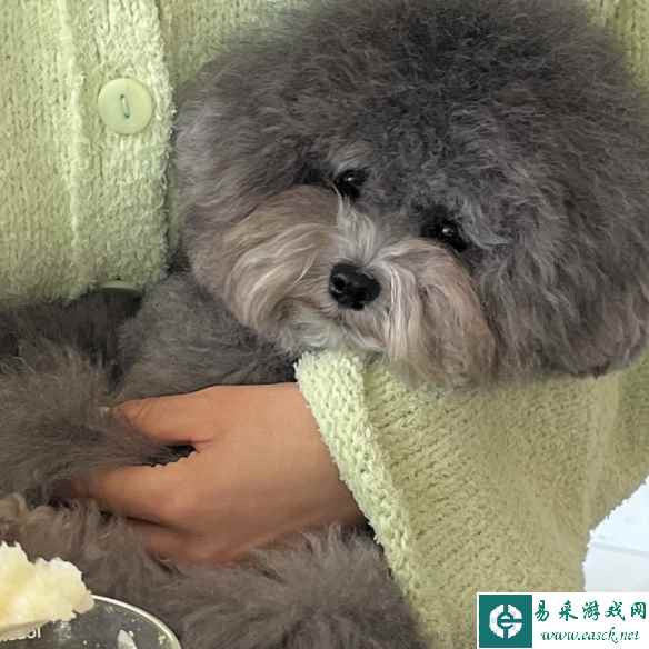 /news/2023/04-13/73732.shtml