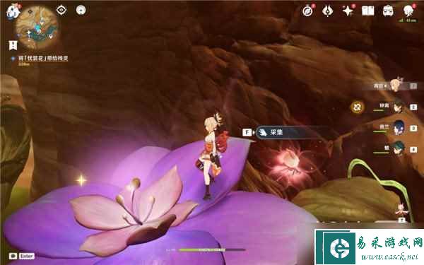 《原神》忧昙花采集路线详情