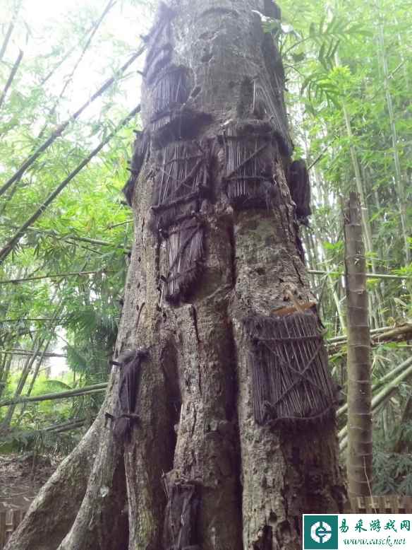 /news/2023/04-14/74220.shtml