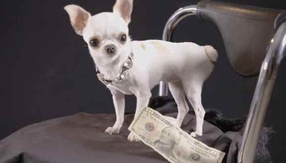 /news/2023/04-14/74221.shtml