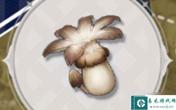 原神莫娜突破材料在哪里获得 原神莫娜突破材料汇总