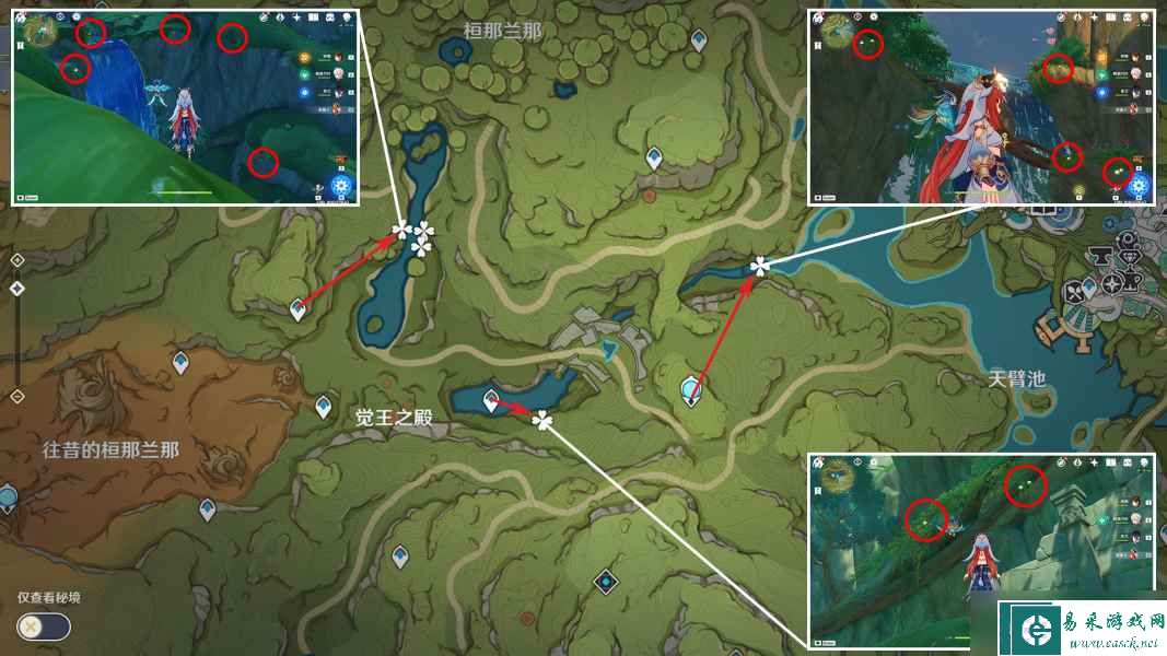 《原神》纳西妲培养素材全路线解析