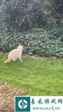 /news/2023/04-18/75377.shtml