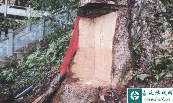 /news/2023/04-19/75679.shtml