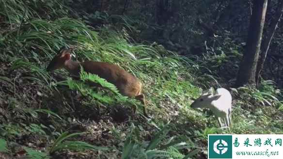 /news/2023/04-20/75967.shtml