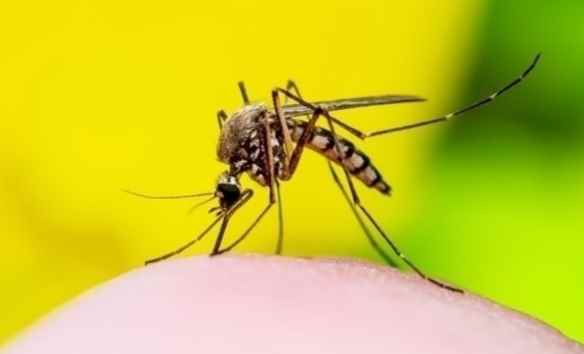 /news/2023/04-20/76166.shtml