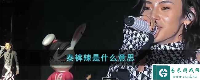 泰裤辣是什么意思