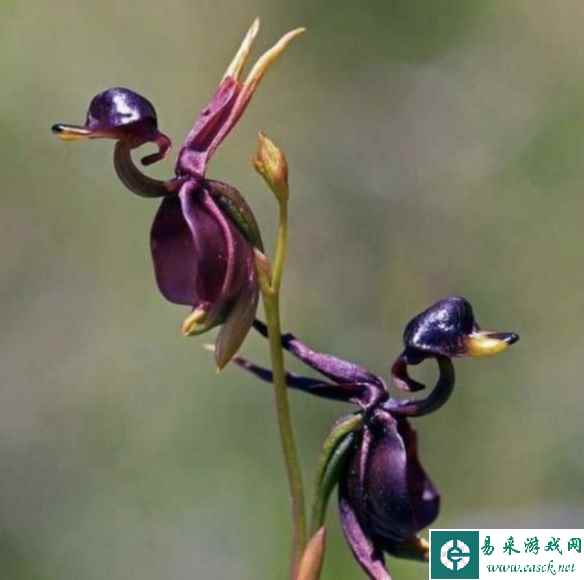 /news/2023/04-23/77275.shtml