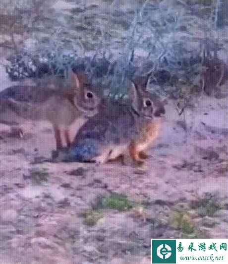 /news/2023/04-23/77298.shtml