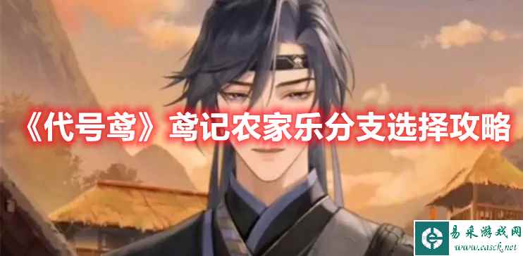 《代号鸢》鸢记农家乐分支选择攻略