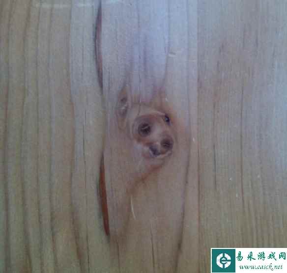 /news/2023/05-01/79923.shtml