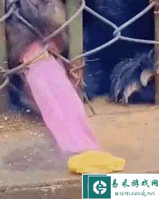 易采游戏网