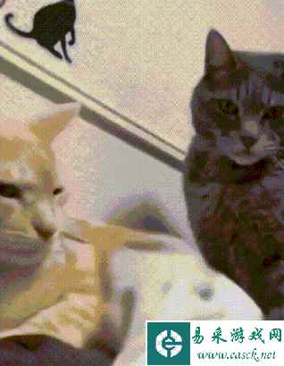 /news/2023/05-04/80465.shtml