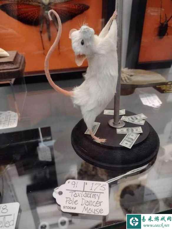 /news/2023/05-06/80966.shtml