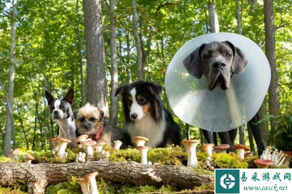 /news/2023/05-09/82212.shtml