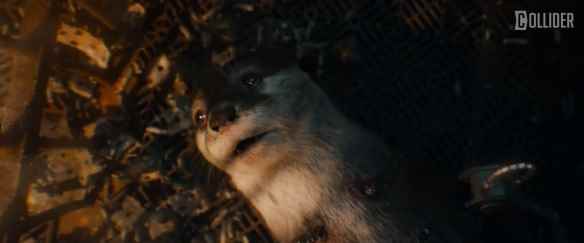 /news/2023/05-09/82233.shtml