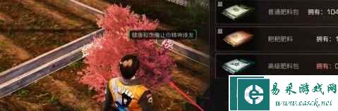 《明日之后》樱花获取方法