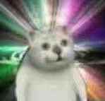 /news/2023/05-12/83441.shtml