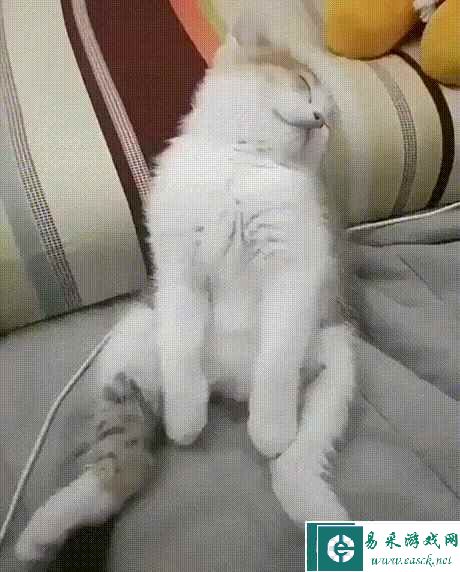 易采游戏网