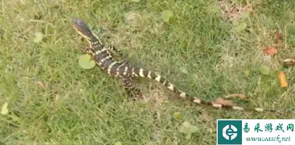 /news/2023/05-14/83917.shtml