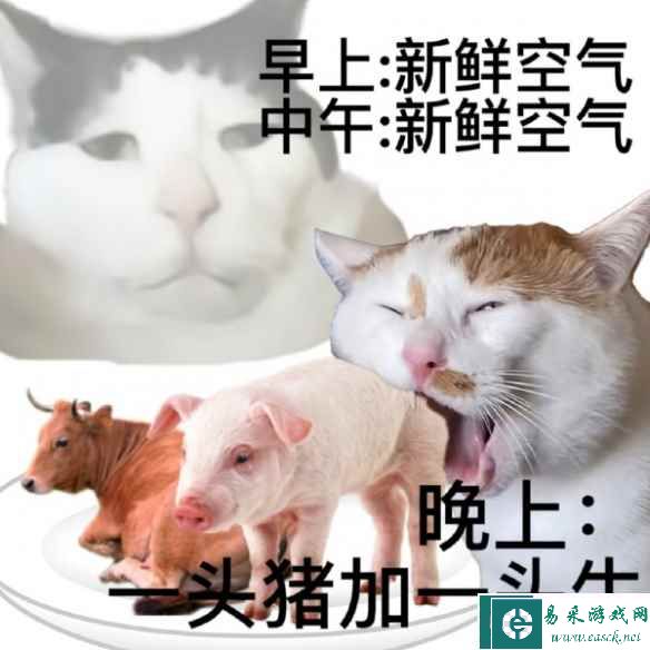 易采游戏网