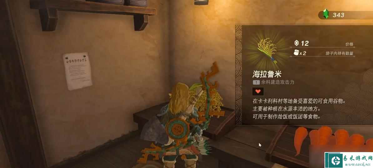 《塞尔达传说：王国之泪》沃托里村的布料获得方法