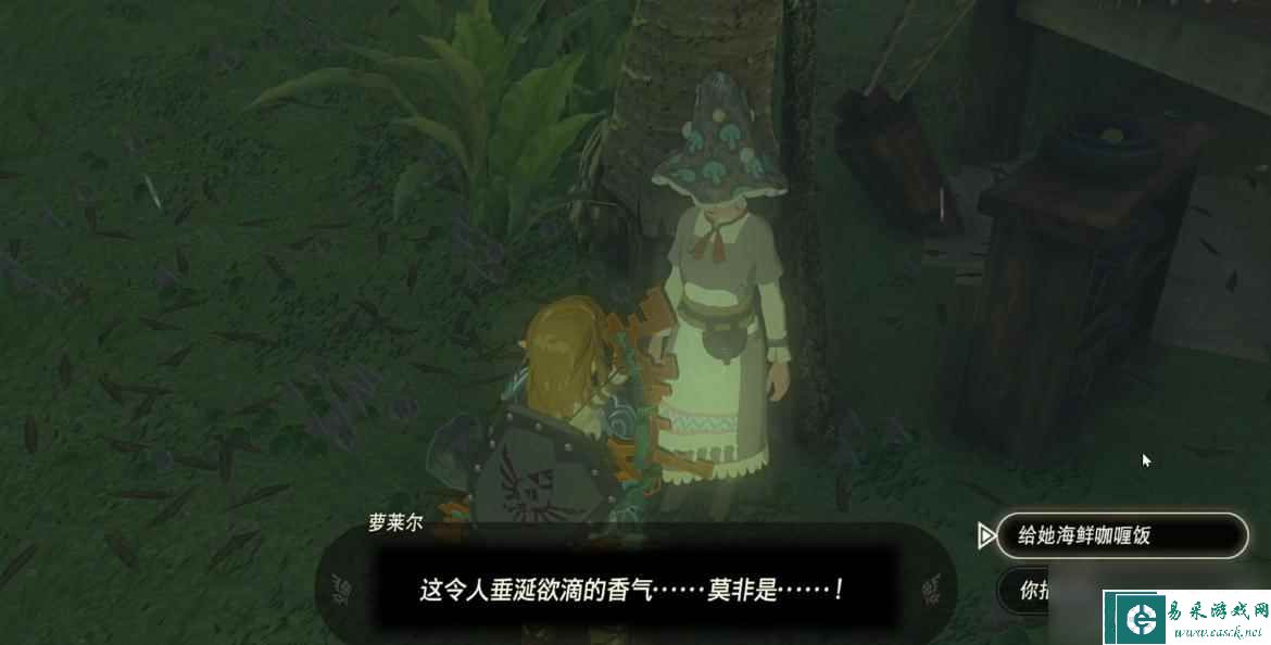 《塞尔达传说：王国之泪》沃托里村的布料获得方法