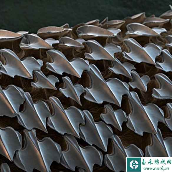 /news/2023/05-16/84353.shtml